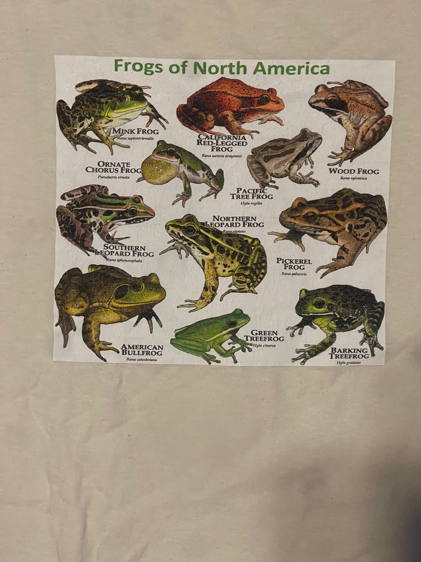 2000’s Frogs of North America Tee