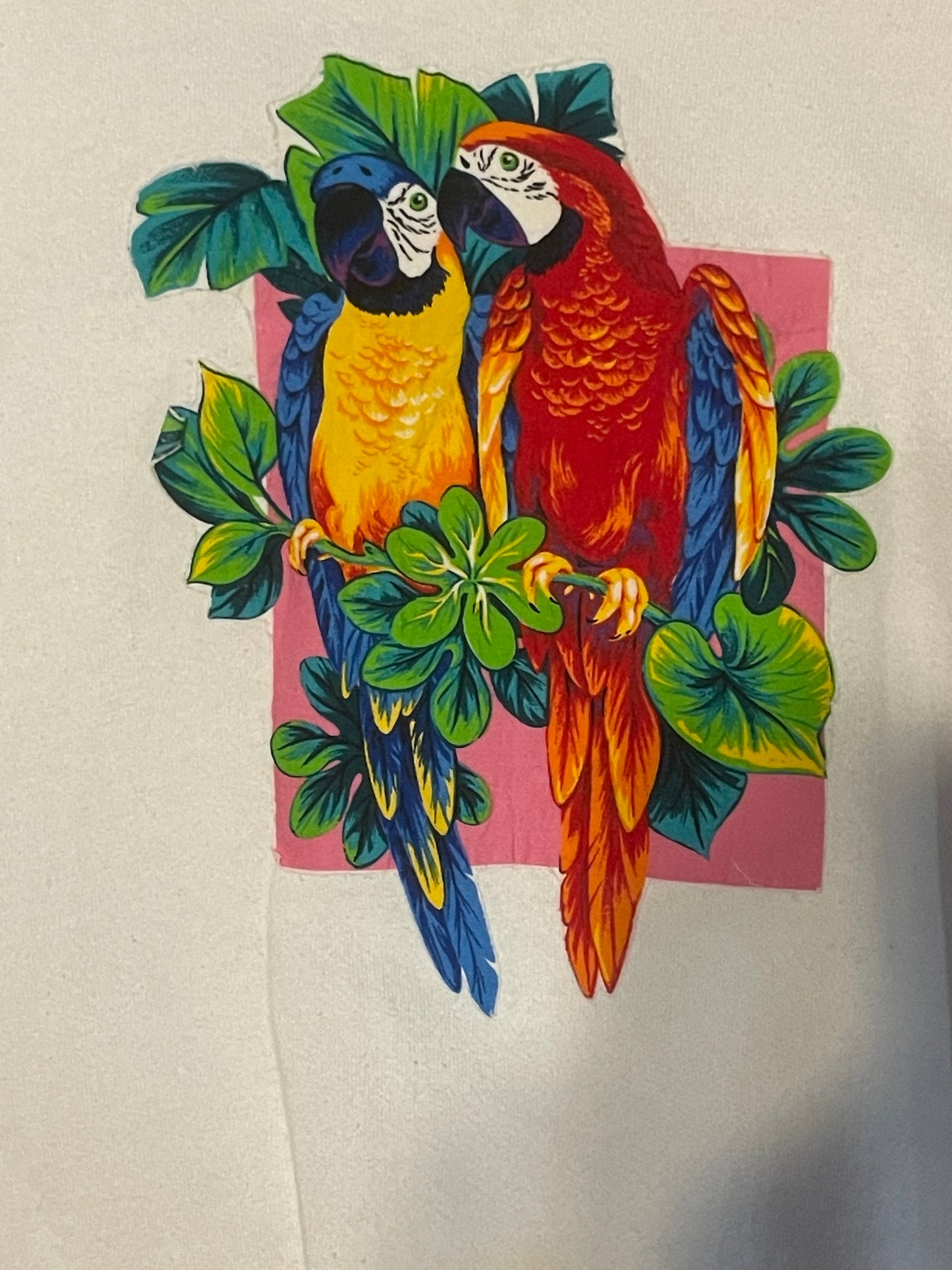 90’s Parrot Crewneck