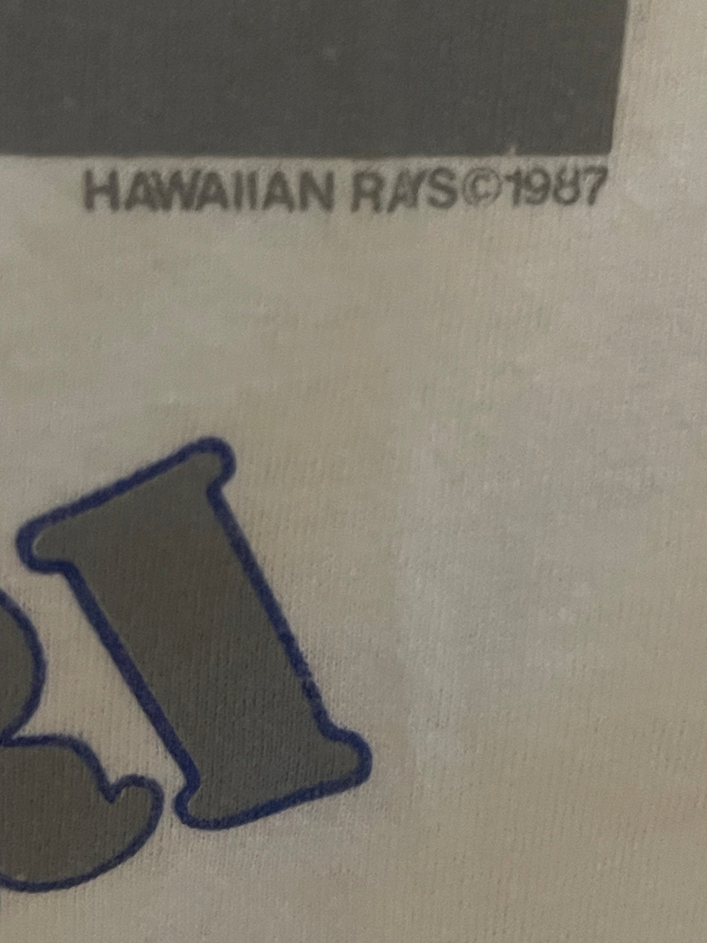 1980’s Hawaii Surfing Tee