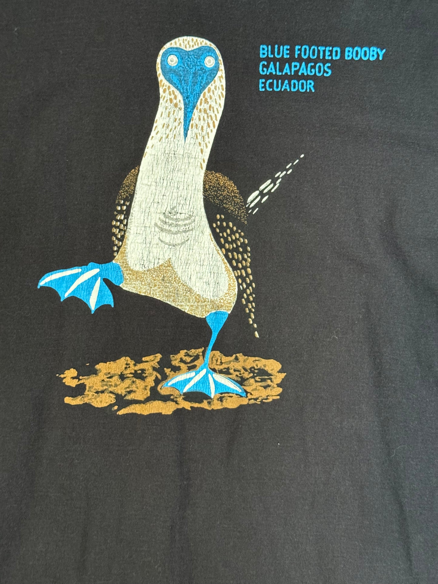 2000’s Blue Footed Booby Ecuador Tee