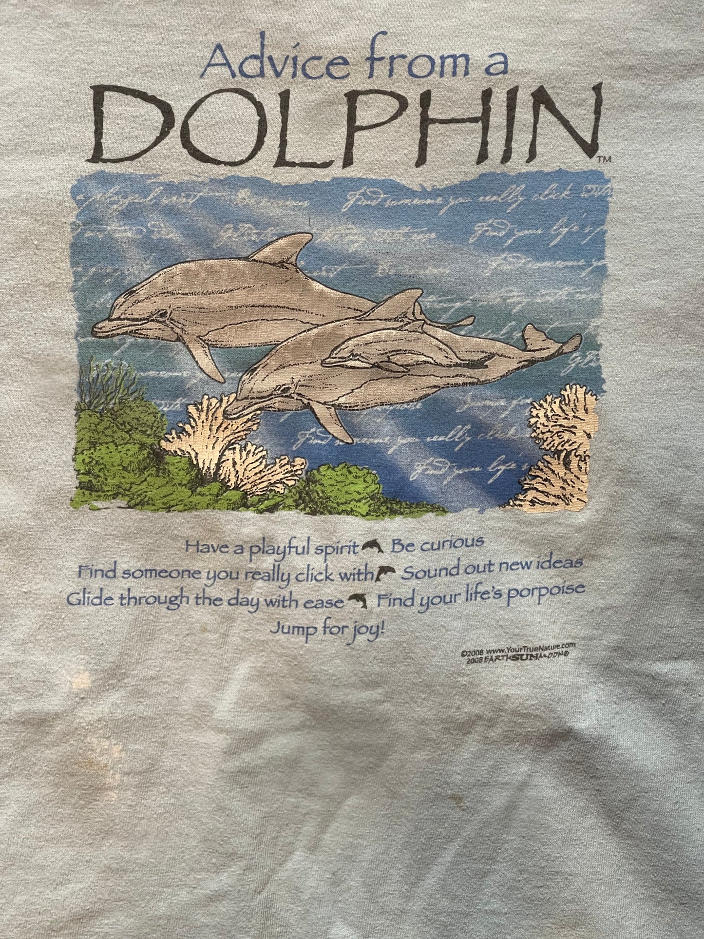 2000’s Dolphin Tee