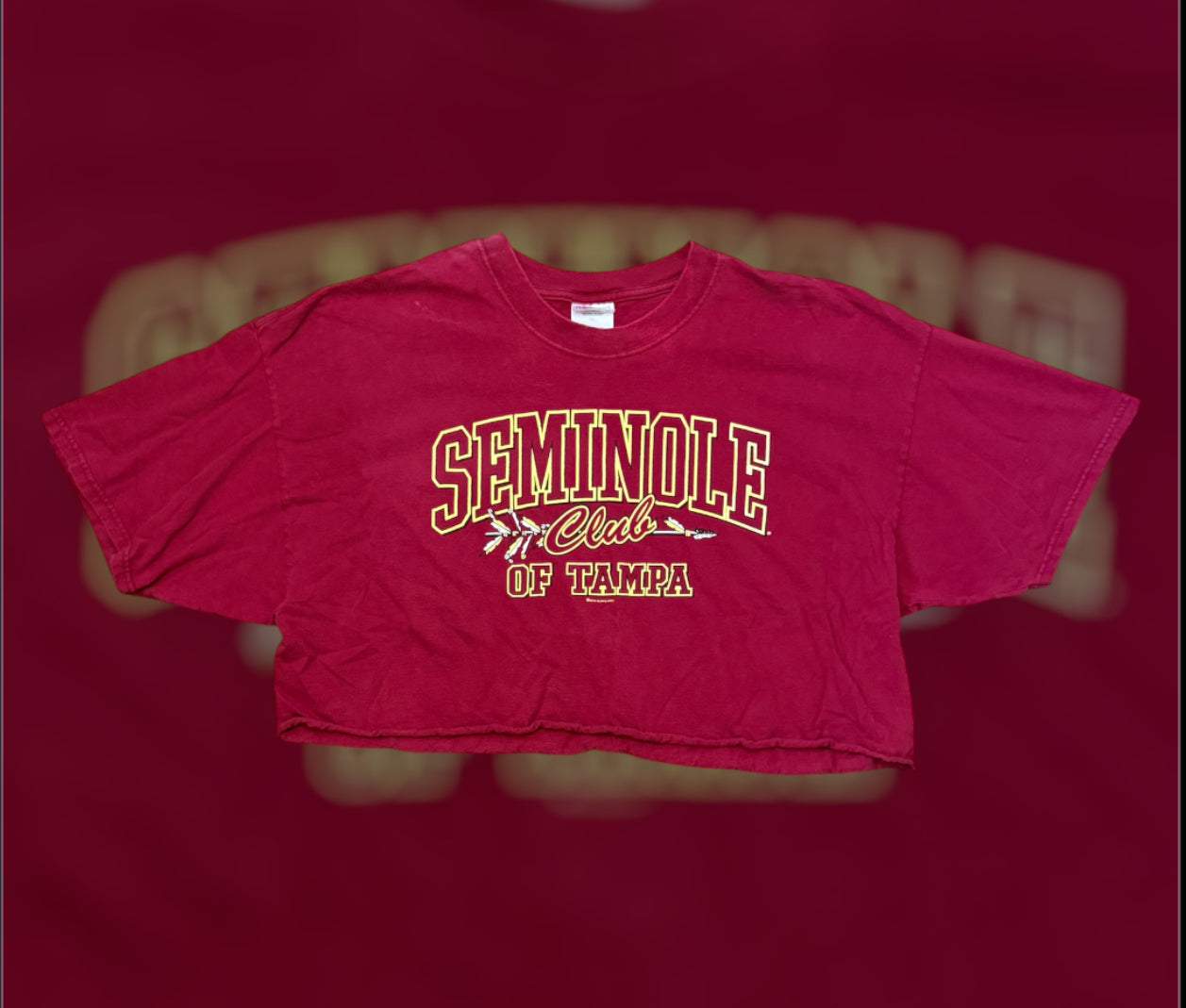 2003 FSU Seminole Club of Tampa Crop Top